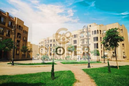 فلیٹ 3 غرف نوم للبيع في القاهرة الجديدة، القاهرة - 42bd60c5-fbcd-404d-8c40-9aceaf4216d9. jpeg فلیٹ 3 غرف نوم للبيع في القاهرة الجديدة، القاهرة - 42bd60c5-fbcd-404d-8c40-9aceaf4216d9. jpeg