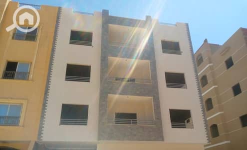 عقار سكني آخر 3 غرف نوم للبيع في القاهرة الجديدة، القاهرة - 1002666189. jpg عقار سكني آخر 3 غرف نوم للبيع في القاهرة الجديدة، القاهرة - 1002666189. jpg