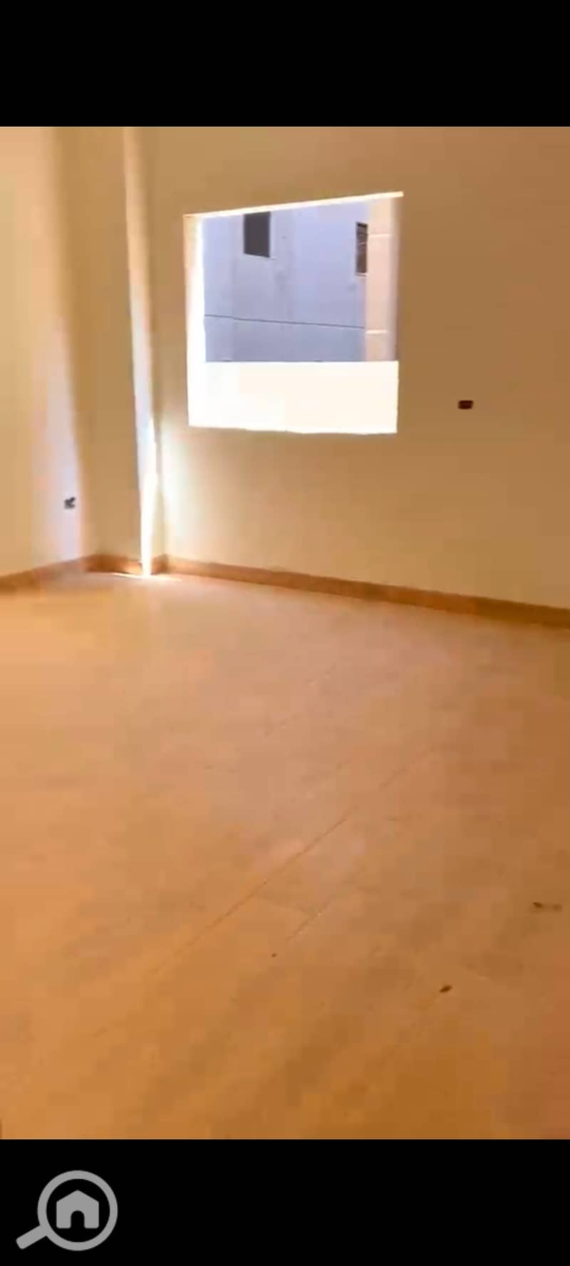 12 1002666203. jpg