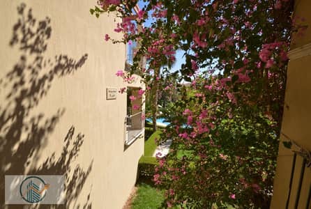 Studio for Rent in Sahl Hasheesh, Red Sea - 11. jpg Studio for Rent in Sahl Hasheesh, Red Sea - 11. jpg