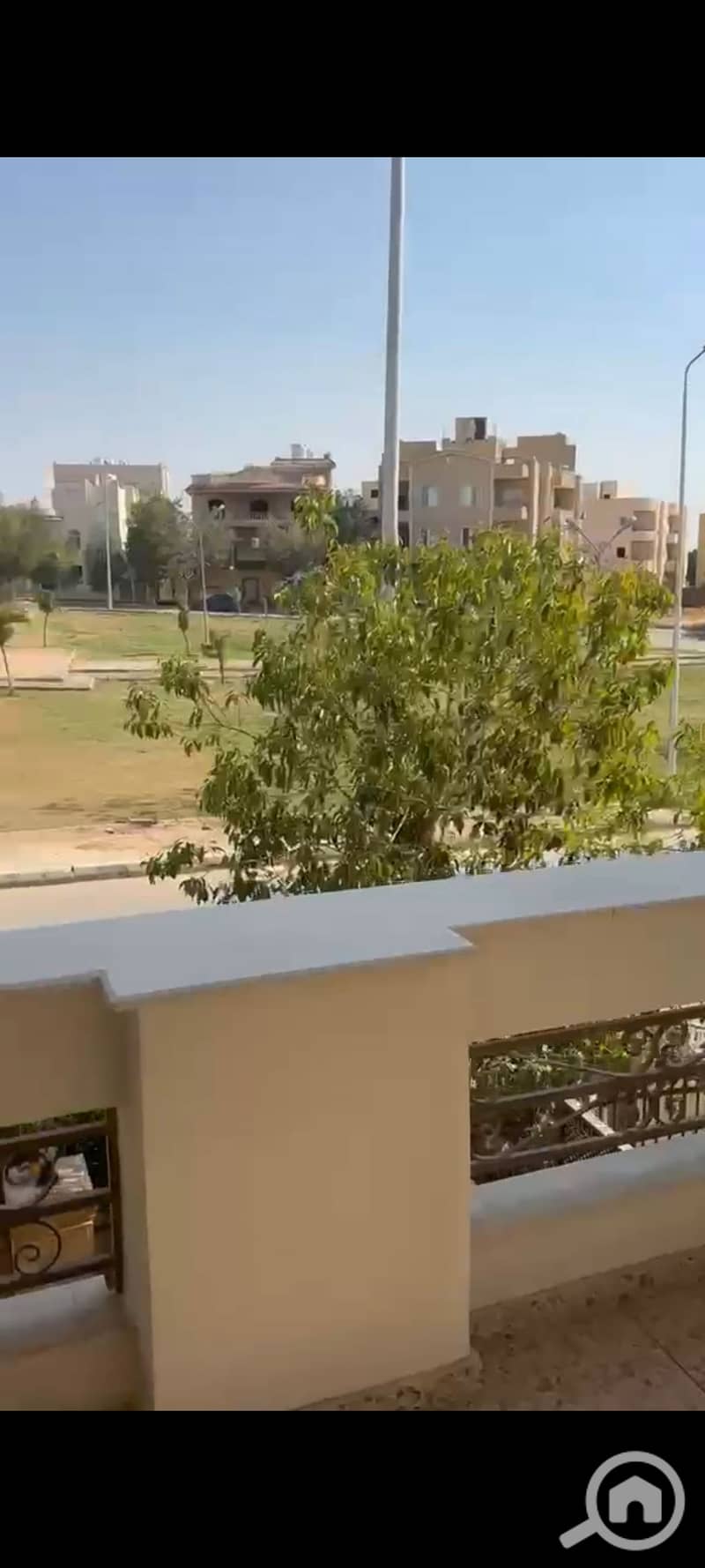 5 195558. jpg