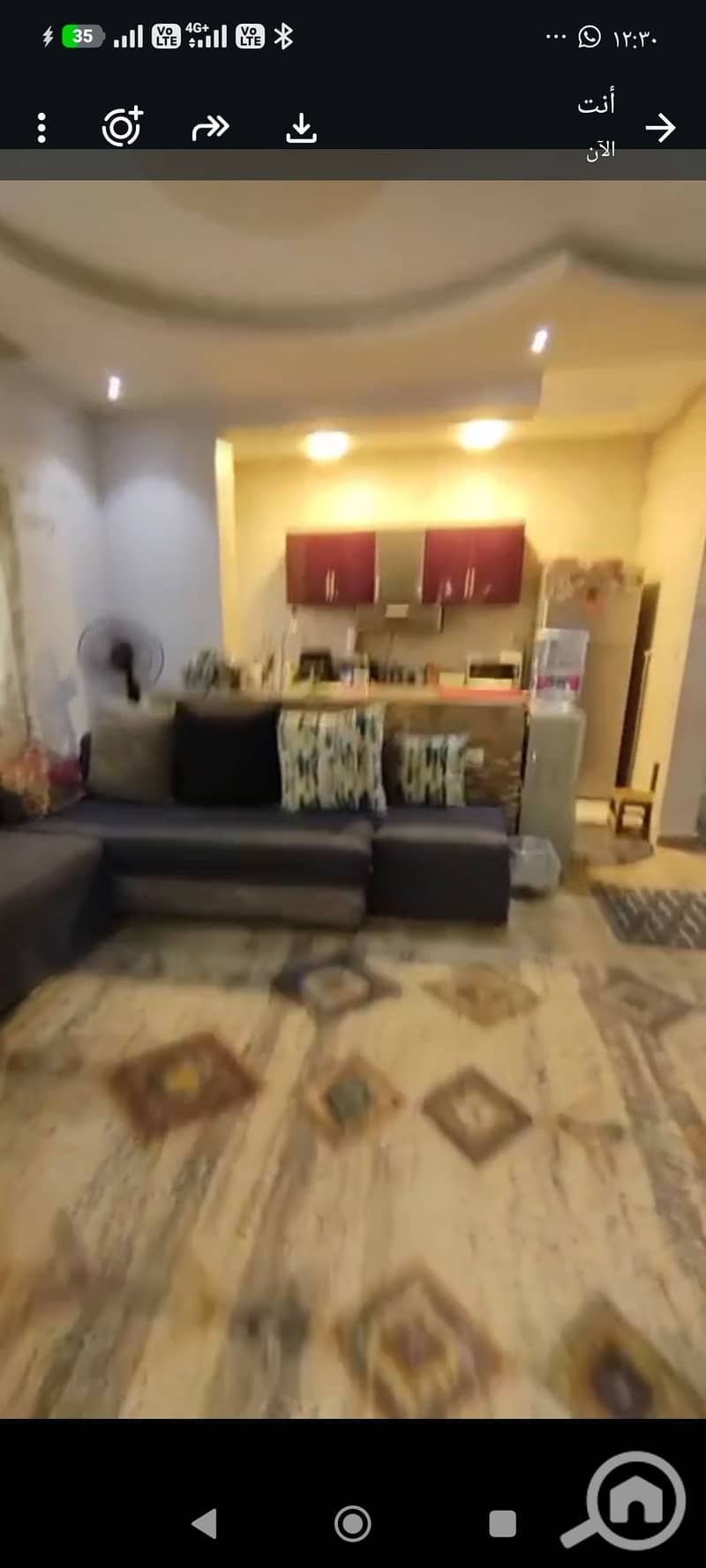 15 195684. jpg