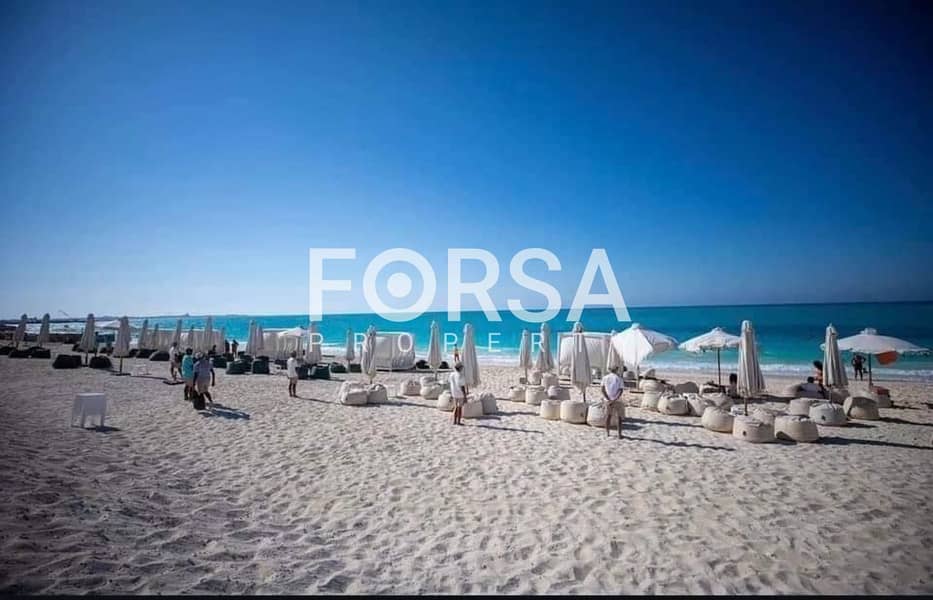3 455197095_7744810502294769_9062477356181490474_n. jpg