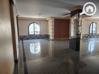 1 Bedroom Flat for Rent in Heliopolis, Cairo - de36d664-1360-414a-8e67-3c6f11c8e152. jpg 1 Bedroom Flat for Rent in Heliopolis, Cairo - de36d664-1360-414a-8e67-3c6f11c8e152. jpg
