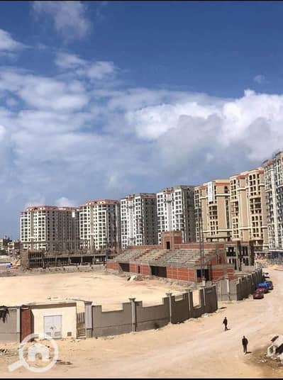 2 Bedroom Flat for Sale in Smoha, Alexandria - WhatsApp Image 2026-07-18 at 12.08. 34 (5). jpeg 2 Bedroom Flat for Sale in Smoha, Alexandria - WhatsApp Image 2026-07-18 at 12.08. 34 (5). jpeg