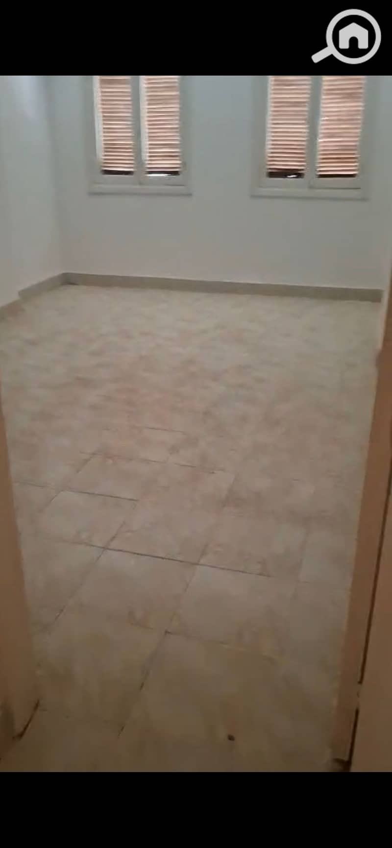 3 994437. jpg