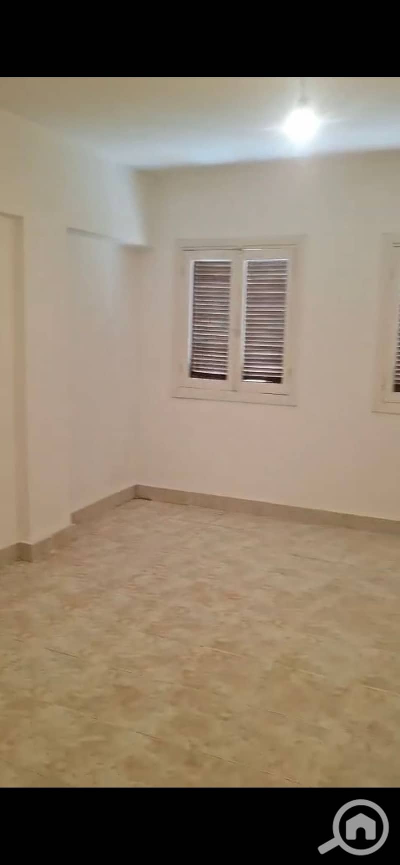 4 994439. jpg