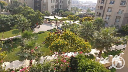 3 Bedroom Penthouse for Rent in New Cairo, Cairo - WhatsApp Image 2026-07-05 at 3.47. 42 AM (5). jpeg