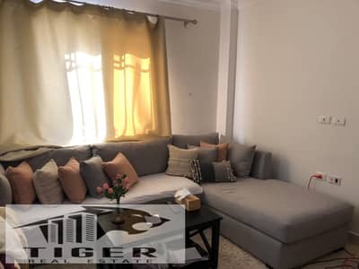 1 Bedroom Flat for Sale in Madinaty, Cairo - 1000129105. jpg 1 Bedroom Flat for Sale in Madinaty, Cairo - 1000129105. jpg
