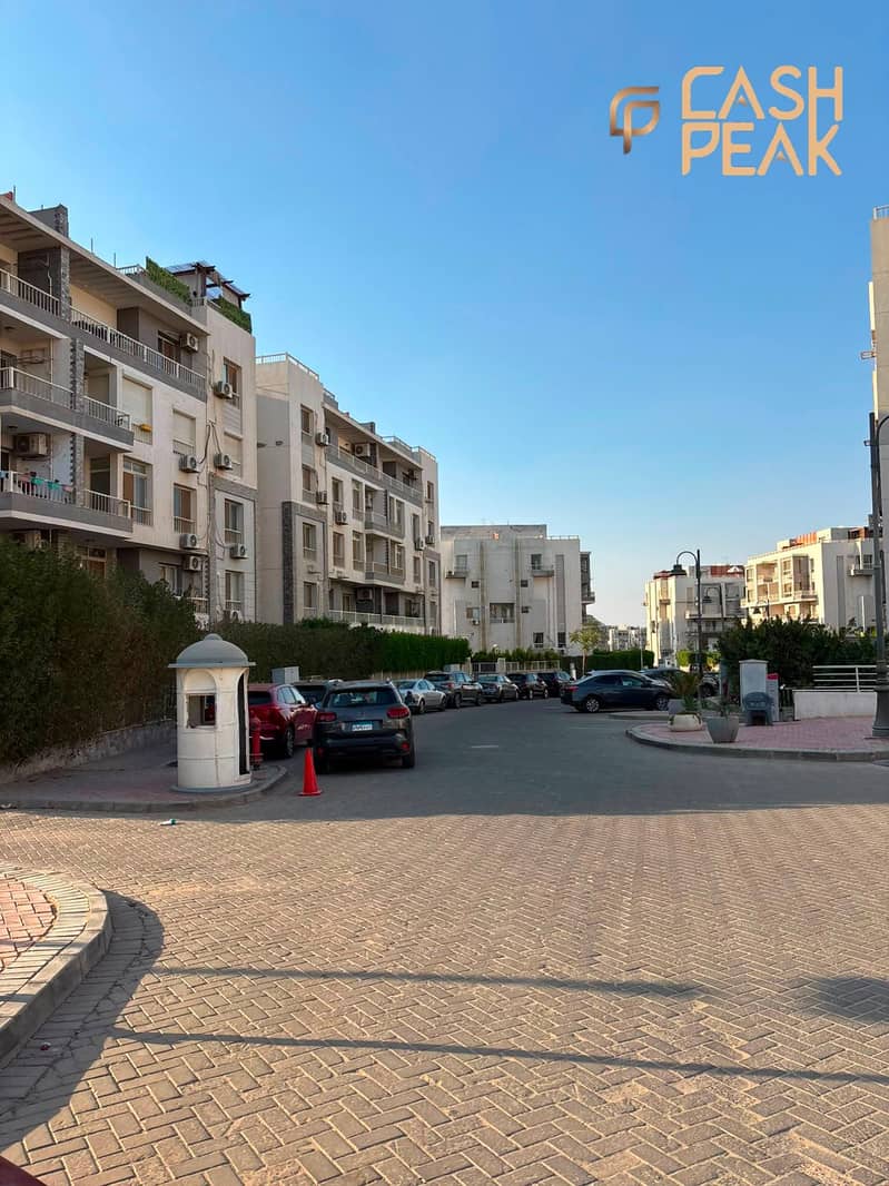 8 1000308338. jpg