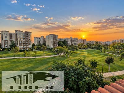 3 Bedroom Apartment for Sale in Madinaty, Cairo - 169242. png 3 Bedroom Apartment for Sale in Madinaty, Cairo - 169242. png