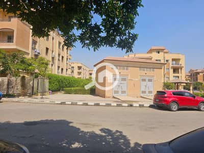 3 Bedroom Flat for Rent in Sheikh Zayed, Giza - WhatsApp Image 2026-09-17 at 2.37. 19 PM. jpeg 3 Bedroom Flat for Rent in Sheikh Zayed, Giza - WhatsApp Image 2026-09-17 at 2.37. 19 PM. jpeg