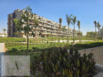 3 Bedroom Penthouse for Rent in New Cairo, Cairo - WhatsApp Image 2026-08-23 at 1.27. 52 PM (1). jpeg