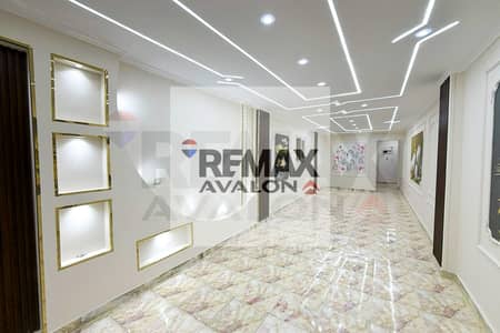3 Bedroom Apartment for Sale in Miami, Alexandria - 1. jpg 3 Bedroom Apartment for Sale in Miami, Alexandria - 1. jpg