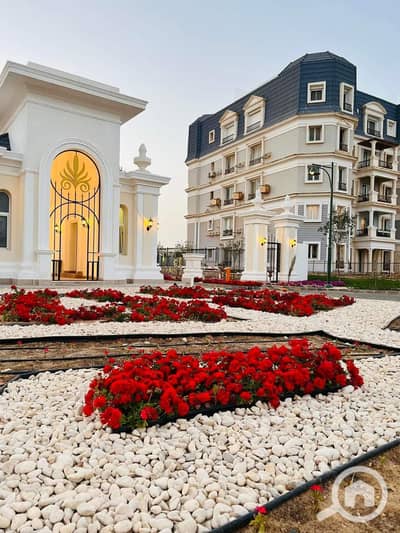 5 Bedroom Villa for Sale in New Cairo, Cairo - WhatsApp Image 2026-09-14 at 6.04. 05 AM (1). jpeg 5 Bedroom Villa for Sale in New Cairo, Cairo - WhatsApp Image 2026-09-14 at 6.04. 05 AM (1). jpeg