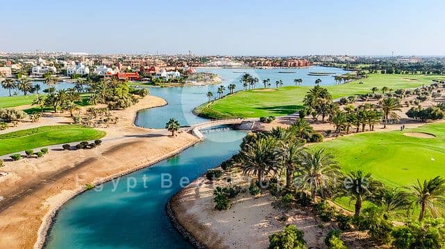 3 360_F_1435427809_PyYqLdZIwx9WCHoM9axwdBVTE6kD00cQ. jpg