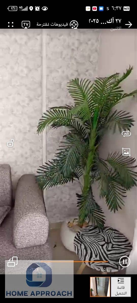 12 2024144a-c864-4e7e-b0cf-23c419421994. jpg