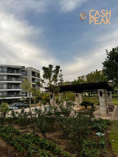 3 Bedroom Apartment for Sale in New Cairo, Cairo - WhatsApp Image 2026-09-21 at 7.56. 32 AM (1). jpeg 3 Bedroom Apartment for Sale in New Cairo, Cairo - WhatsApp Image 2026-09-21 at 7.56. 32 AM (1). jpeg