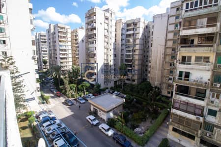2 Bedroom Apartment for Rent in Smoha, Alexandria - IMG_8649. jpg 2 Bedroom Apartment for Rent in Smoha, Alexandria - IMG_8649. jpg