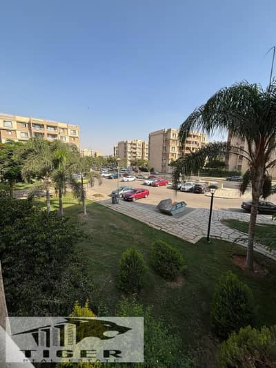 3 Bedroom Flat for Sale in Madinaty, Cairo - 1000129226. jpg 3 Bedroom Flat for Sale in Madinaty, Cairo - 1000129226. jpg