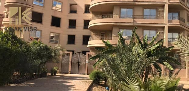 3 Bedroom Flat for Rent in Shorouk City, Cairo - 13173. jpg 3 Bedroom Flat for Rent in Shorouk City, Cairo - 13173. jpg