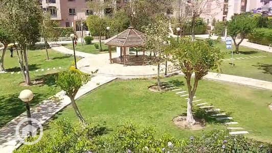 فلیٹ 3 غرف نوم للبيع في القاهرة الجديدة، القاهرة - WhatsApp Image 2026-09-21 at 6.25. 18 PM (1). jpeg فلیٹ 3 غرف نوم للبيع في القاهرة الجديدة، القاهرة - WhatsApp Image 2026-09-21 at 6.25. 18 PM (1). jpeg