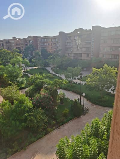 3 Bedroom Apartment for Rent in New Cairo, Cairo - IMG_9087. jpg 3 Bedroom Apartment for Rent in New Cairo, Cairo - IMG_9087. jpg