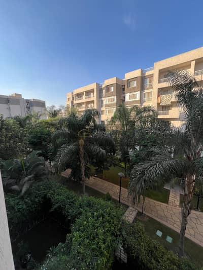 3 Bedroom Flat for Sale in Madinaty, Cairo - 1000801742. jpg 3 Bedroom Flat for Sale in Madinaty, Cairo - 1000801742. jpg