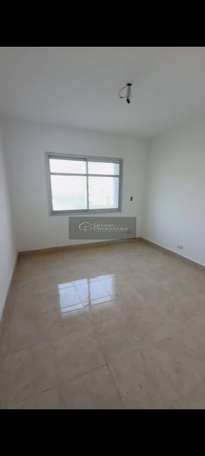 5 1000801773. jpg