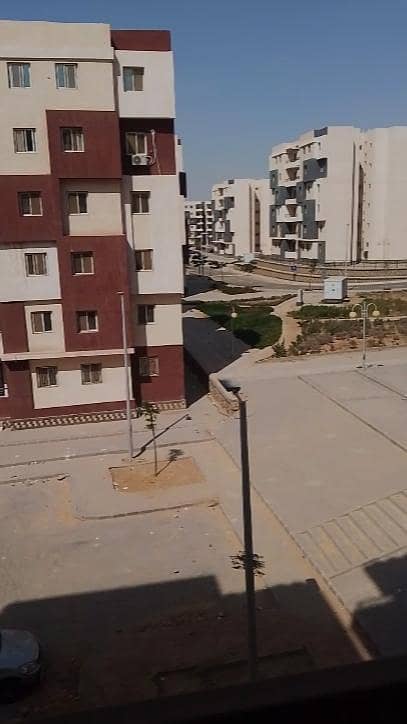 شقه اسكان متميز مدينة بدر شقه اسكان متميز مدينة بدر