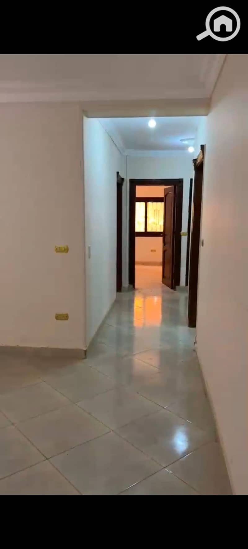 5 1000892785. jpg