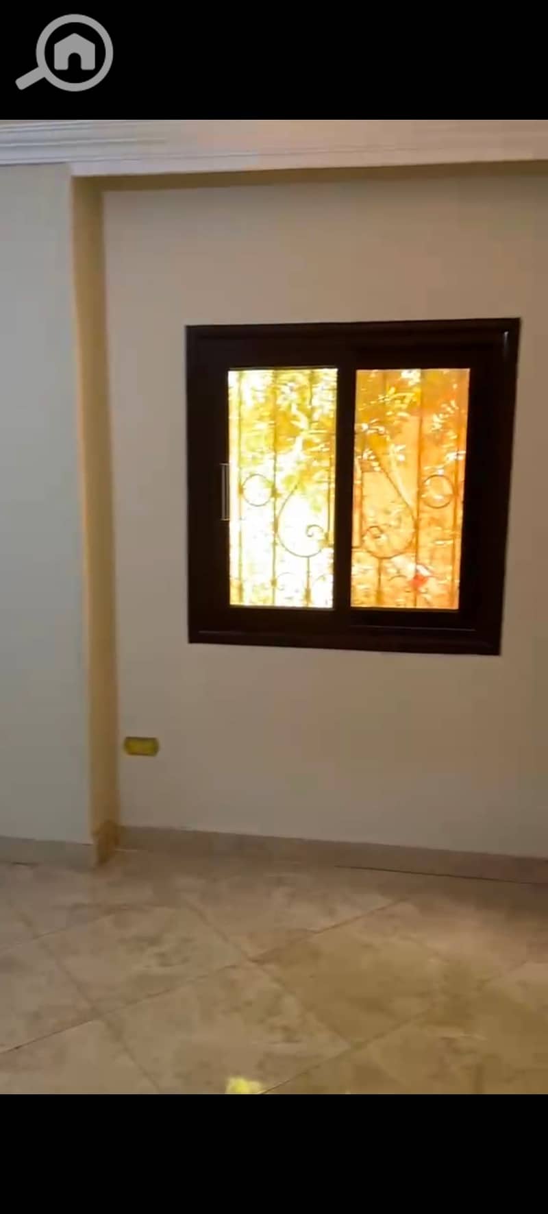 14 1000892789. jpg