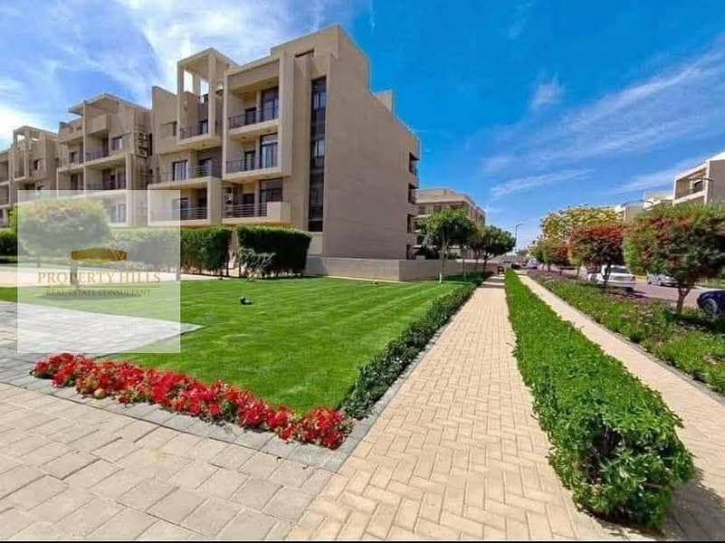 11 709205740_122205309128797091_4540621481058886455_n. jpg