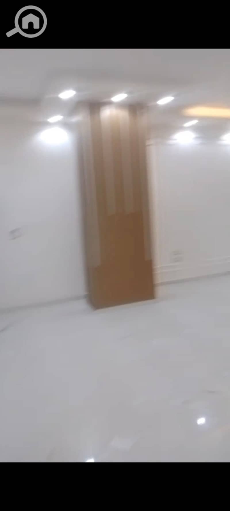 6 196345. jpg
