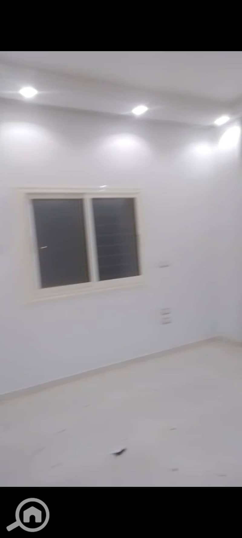 7 196342. jpg