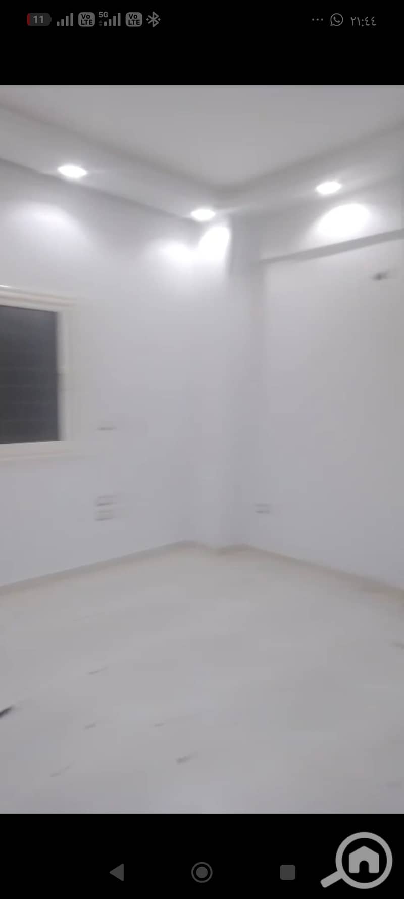 8 196341. jpg