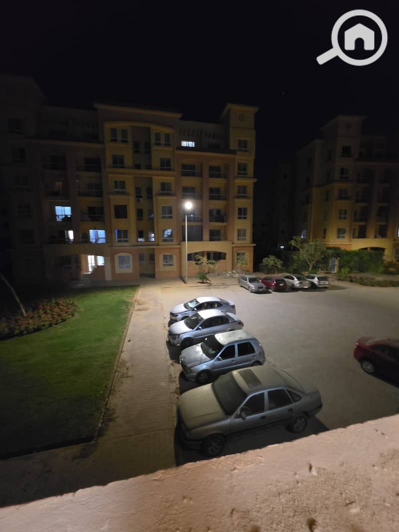 8 238593. jpg