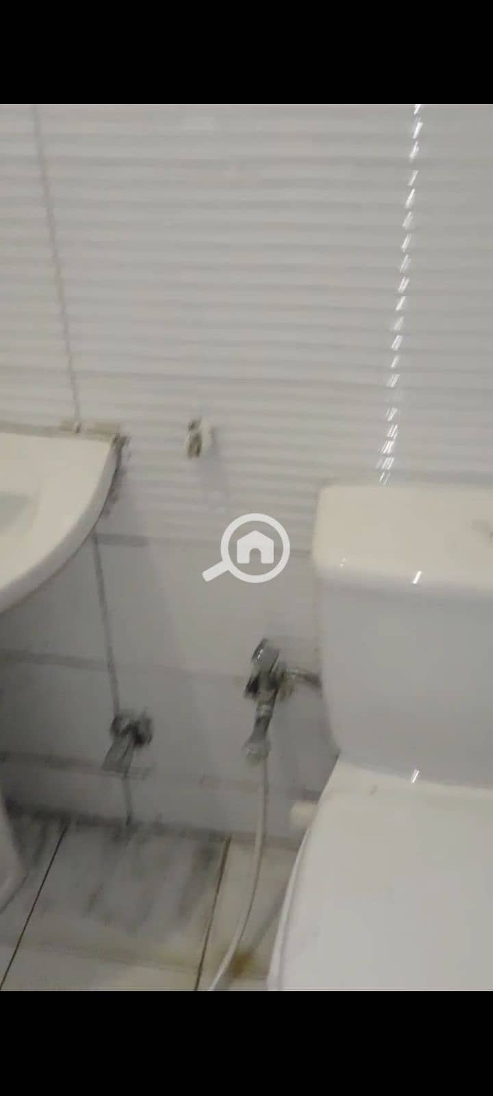 11 1000097984. jpg