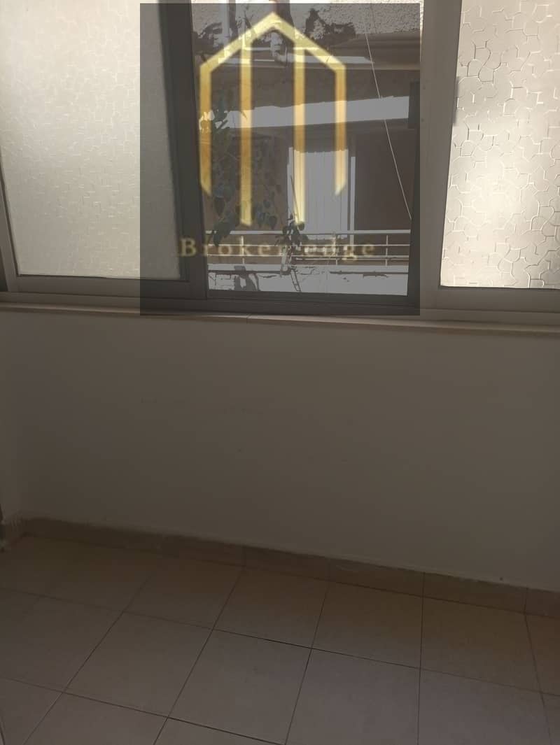 3 1001797346. jpg