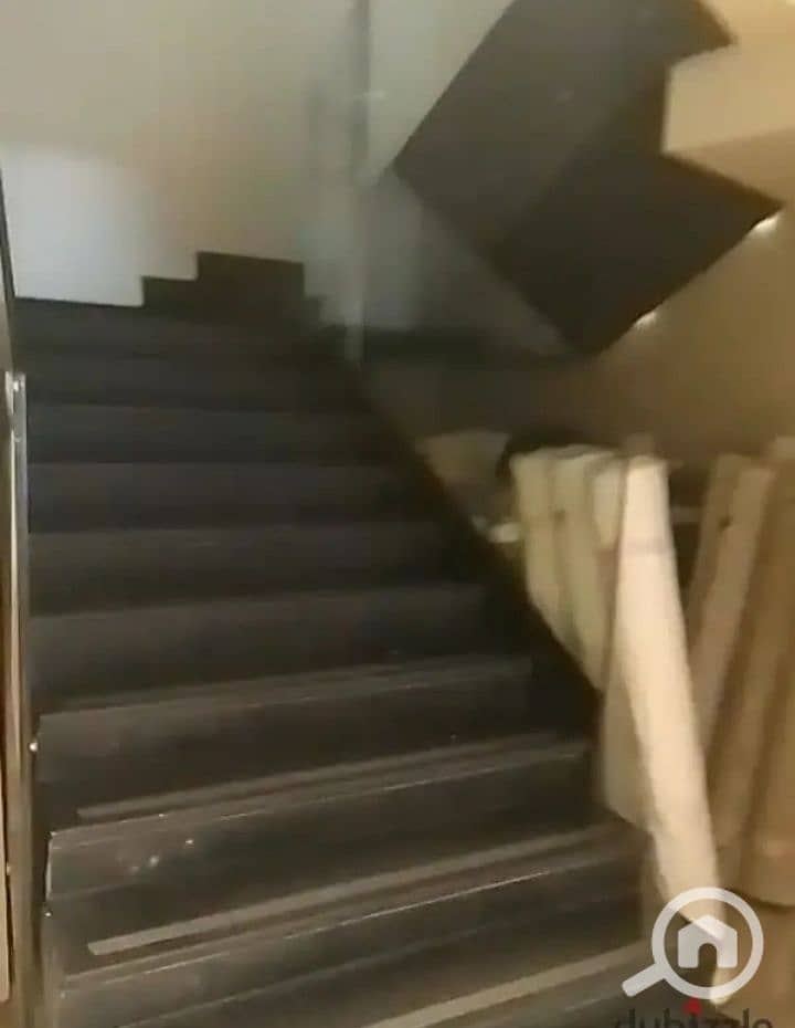 10 1000382395. jpg