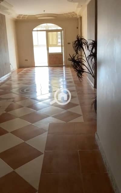 2 Bedroom Flat for Rent in Smoha, Alexandria - 1000751317. jpg 2 Bedroom Flat for Rent in Smoha, Alexandria - 1000751317. jpg
