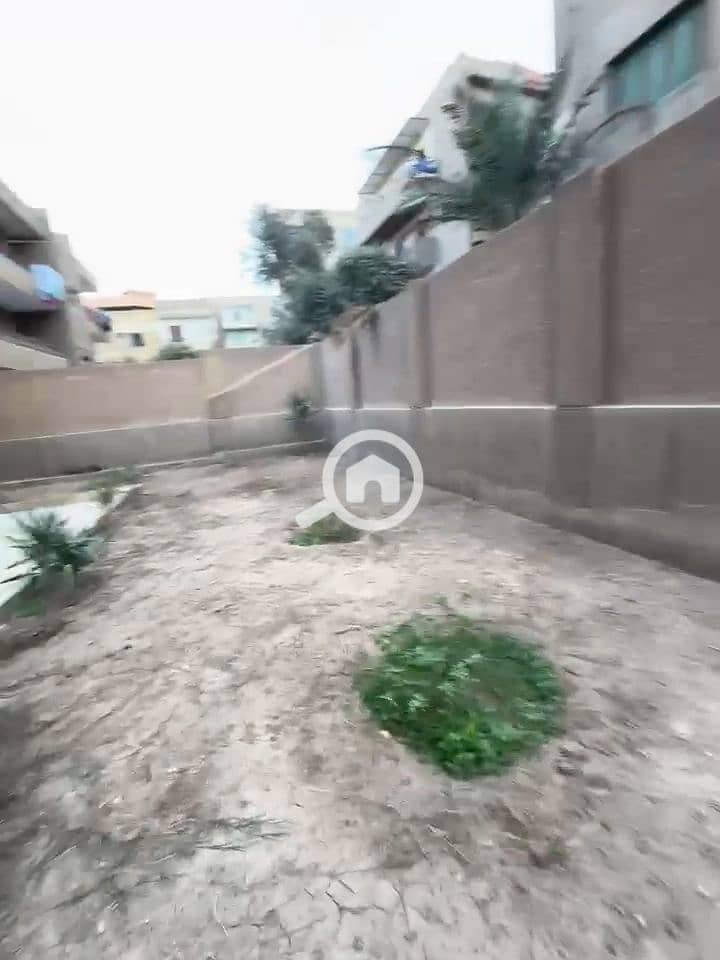 3 1000130068. jpg