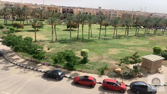 4 Bedroom Flat for Rent in New Cairo, Cairo - WhatsApp Image 2026-09-22 at 2.40. 53 PM (1). jpeg 4 Bedroom Flat for Rent in New Cairo, Cairo - WhatsApp Image 2026-09-22 at 2.40. 53 PM (1). jpeg