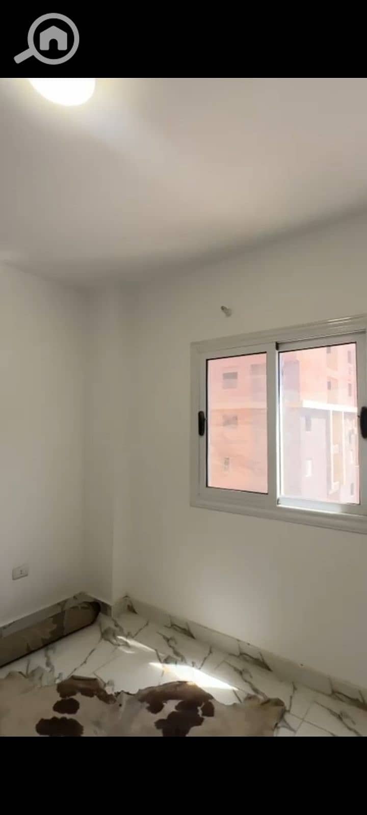 10 1000098237. jpg