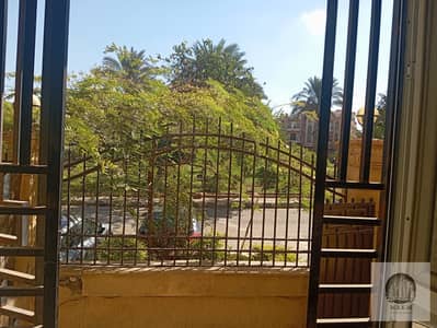 3 Bedroom Flat for Rent in New Cairo, Cairo - WhatsApp Image 2026-09-22 at 11.08. 00 AM (3). jpeg 3 Bedroom Flat for Rent in New Cairo, Cairo - WhatsApp Image 2026-09-22 at 11.08. 00 AM (3). jpeg