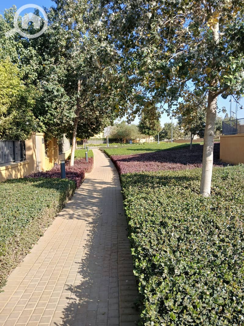 3 20260107_135625. jpg