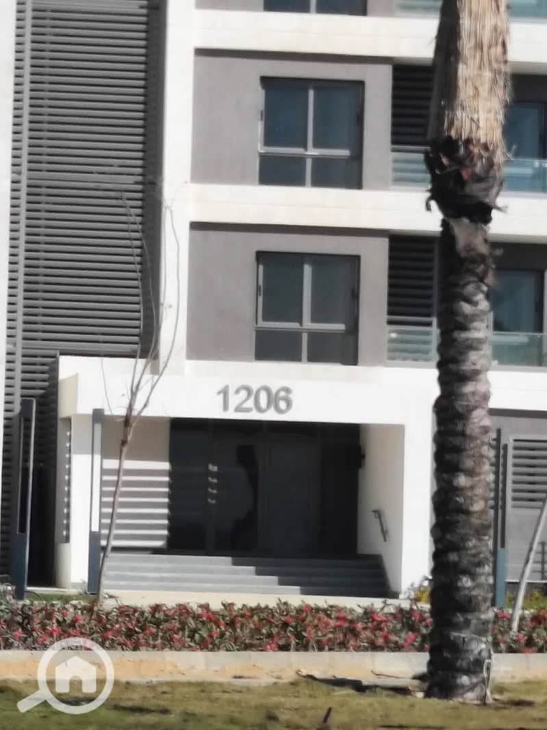 14 700246002_2416103852150698_6993206109887383292_n. jpg