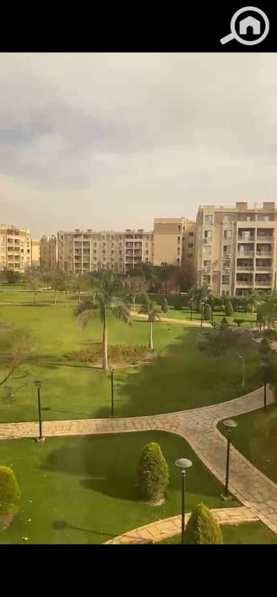 2 Bedroom Flat for Rent in Madinaty, Cairo - 10224. jpg 2 Bedroom Flat for Rent in Madinaty, Cairo - 10224. jpg