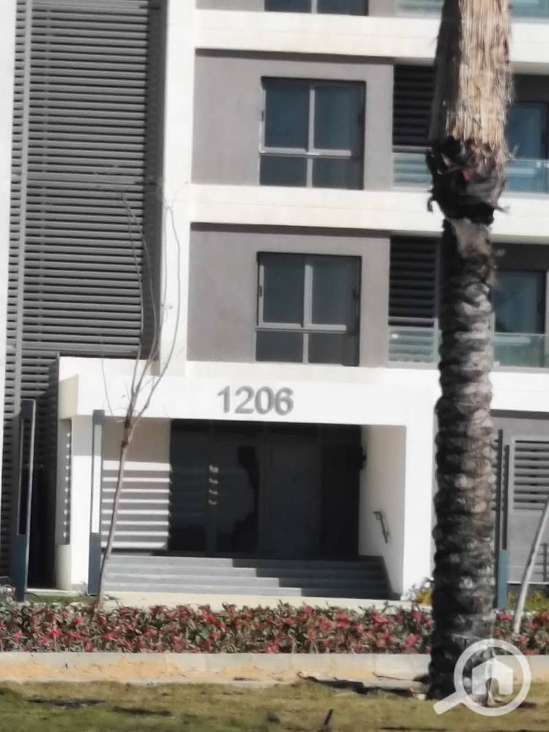 14 700246002_2416103852150698_6993206109887383292_n. jpg