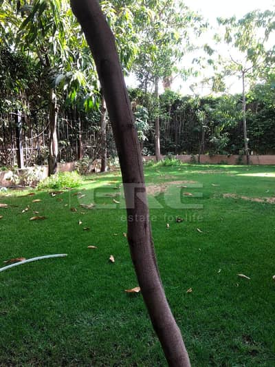 5 Bedroom Villa for Sale in New Cairo, Cairo - WhatsApp Image 2026-09-23 at 12.35. 42 PM (1). jpeg 5 Bedroom Villa for Sale in New Cairo, Cairo - WhatsApp Image 2026-09-23 at 12.35. 42 PM (1). jpeg
